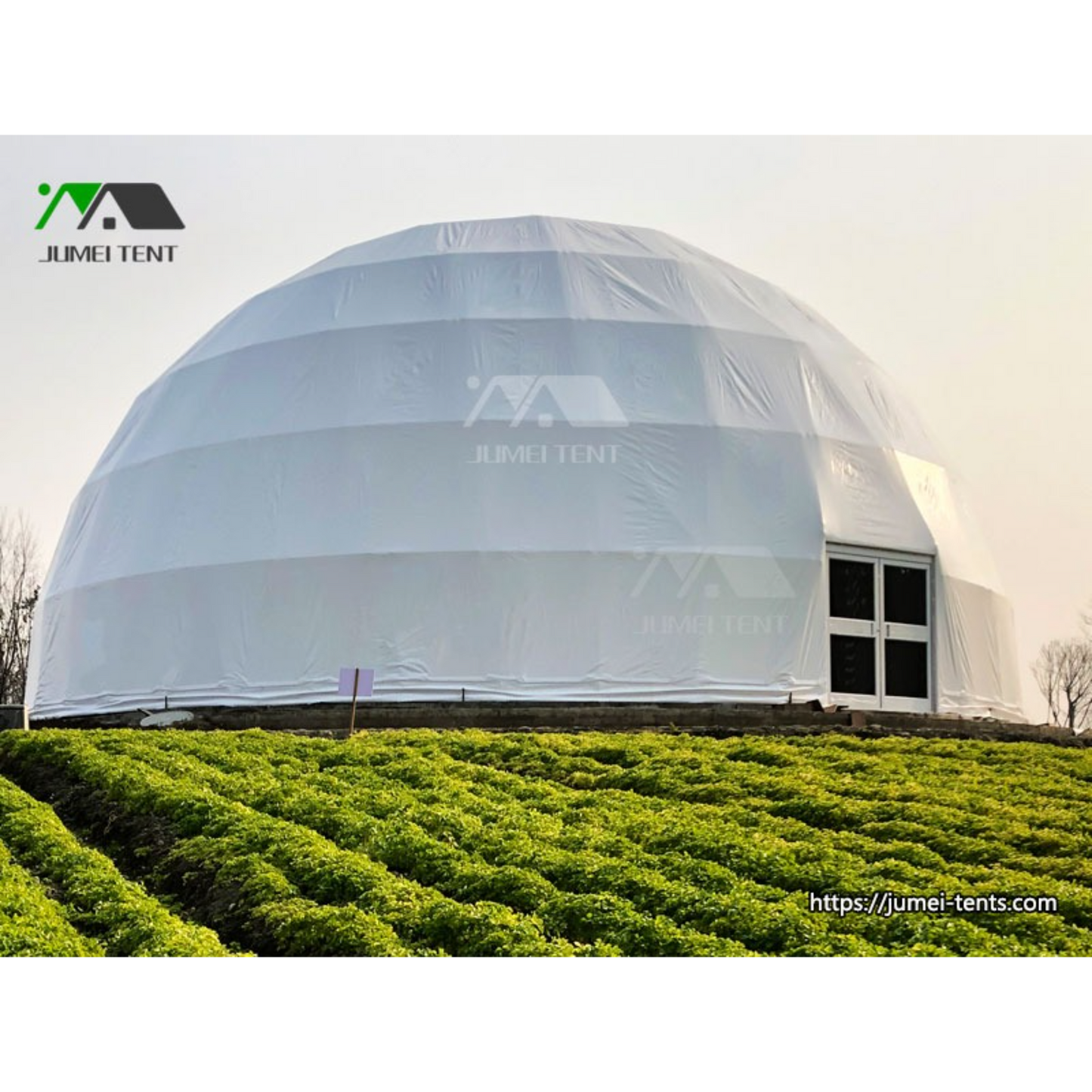 Custom 14M Glamping Dome