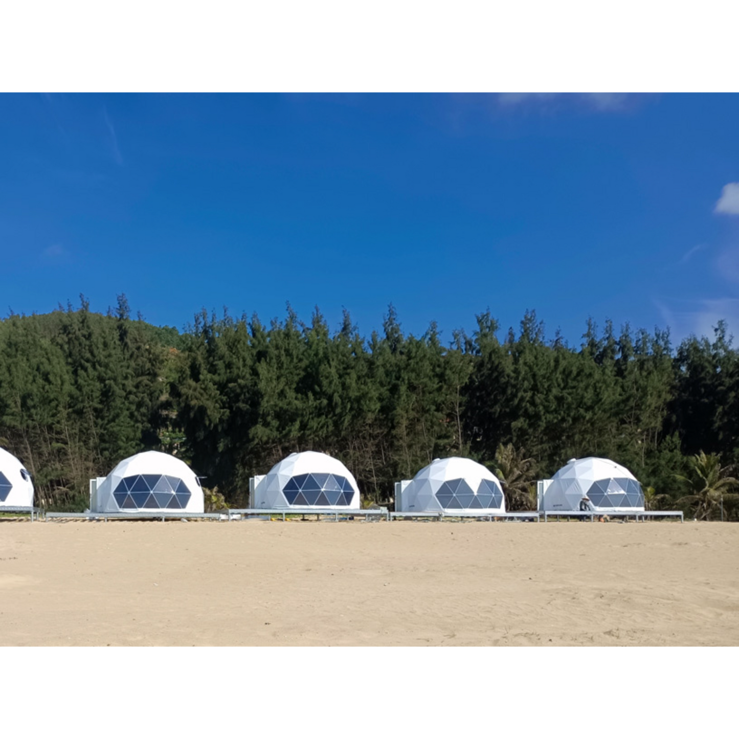 8M Glamping Dome