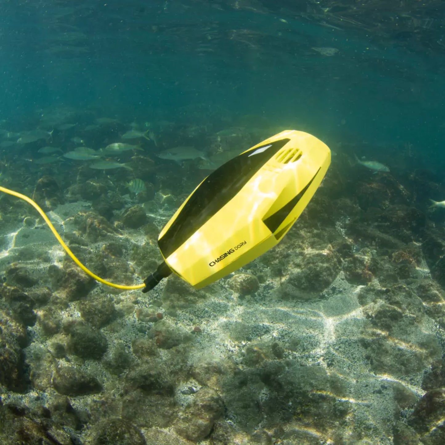 CHASING DORY Underwater Drone – Palm Sized 1080p ROV