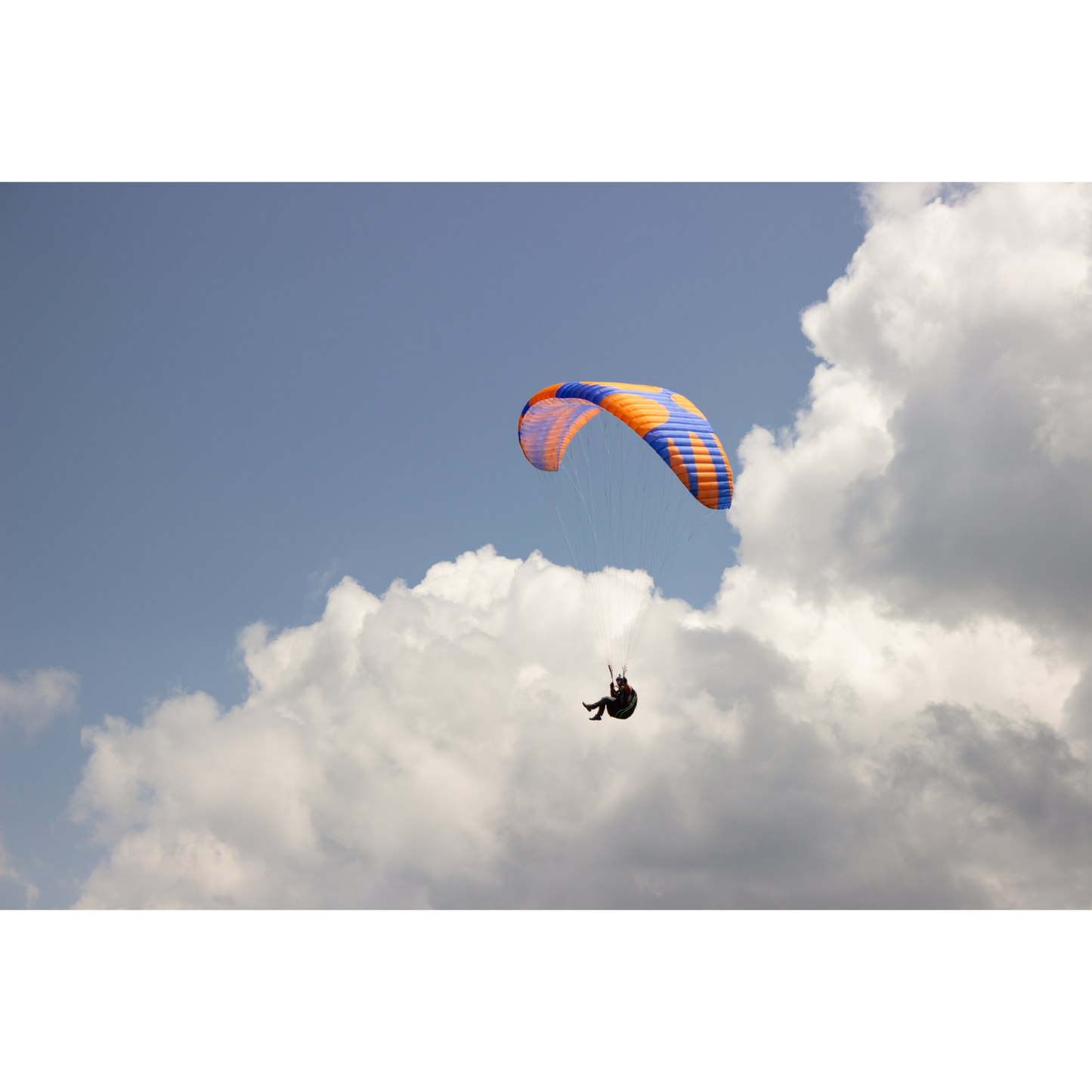 Pandion² Paraglider