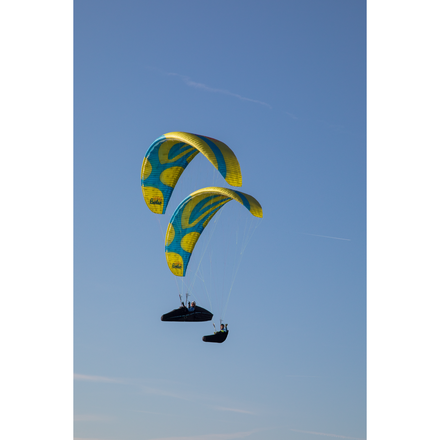 Buteo XC Paraglider