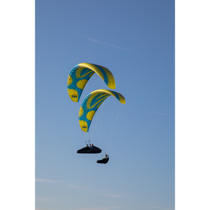 Buteo XC Paraglider