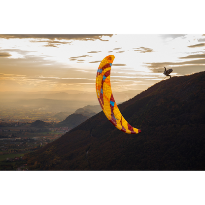 Xenus Paraglider