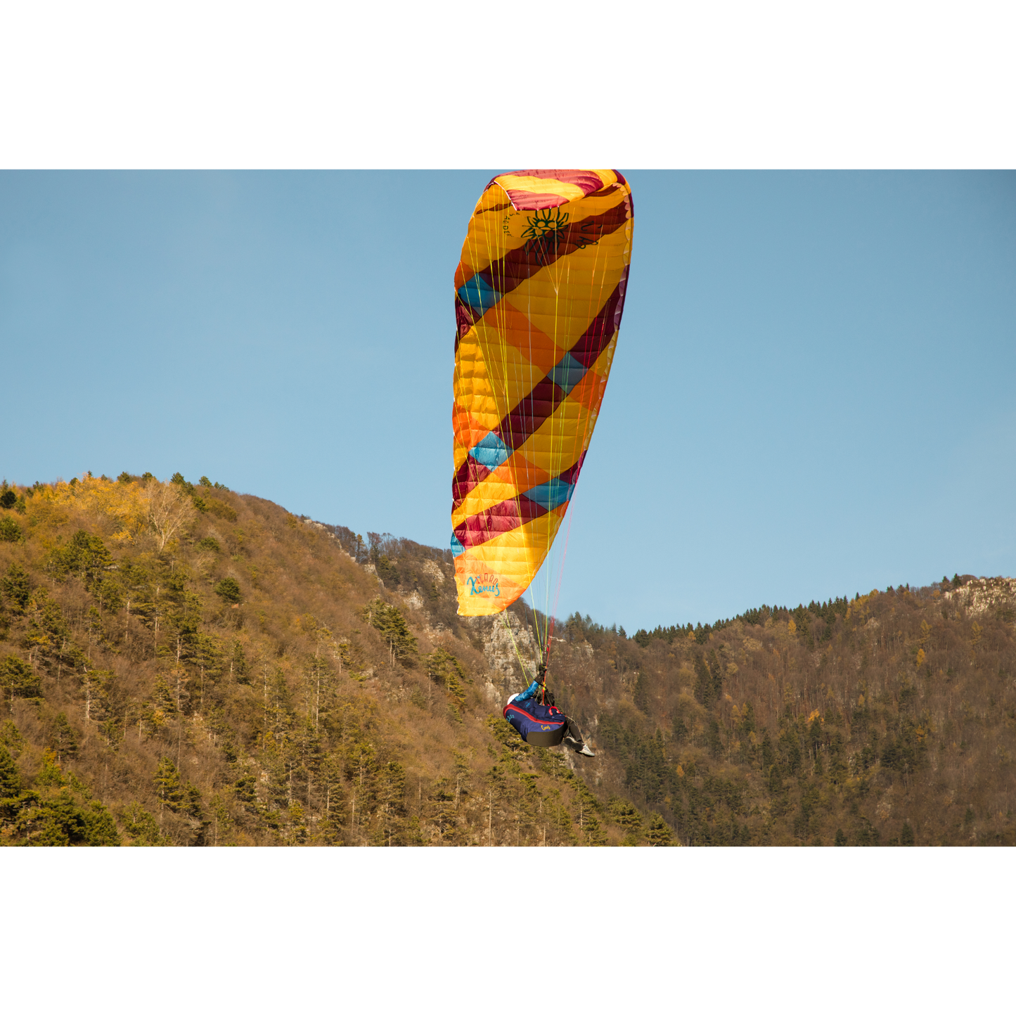 Xenus Paraglider