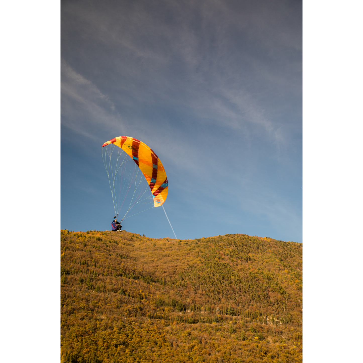 Xenus Paraglider