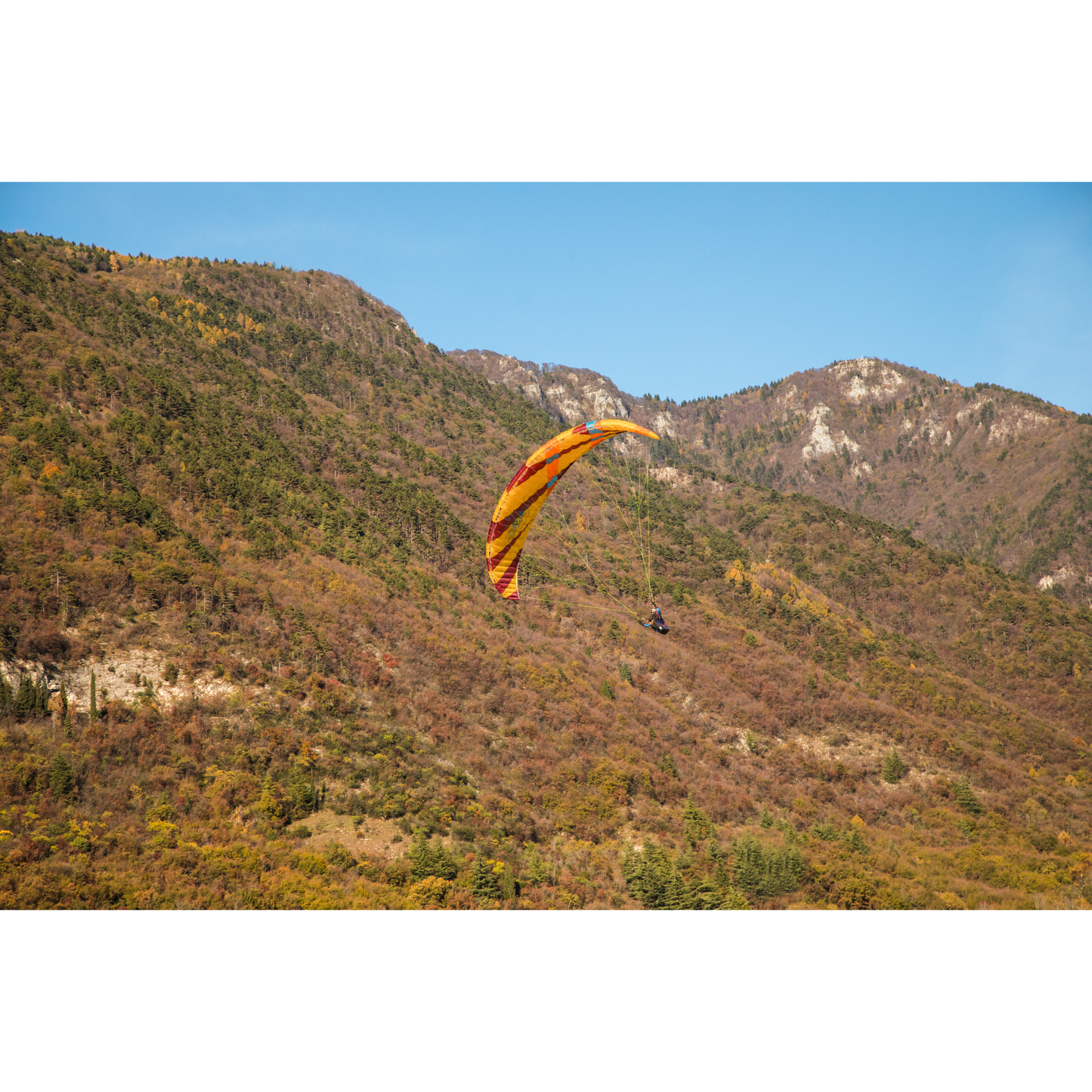 Xenus Paraglider