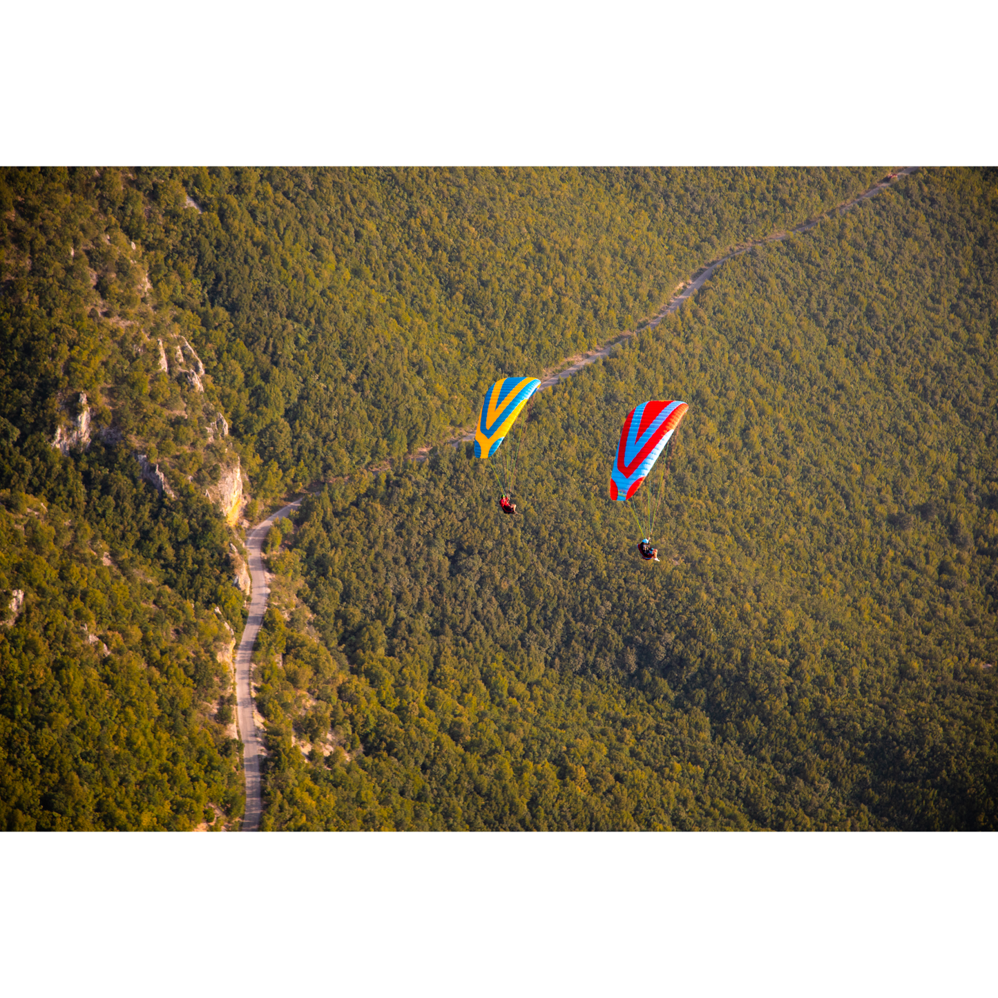 Falco Paraglider