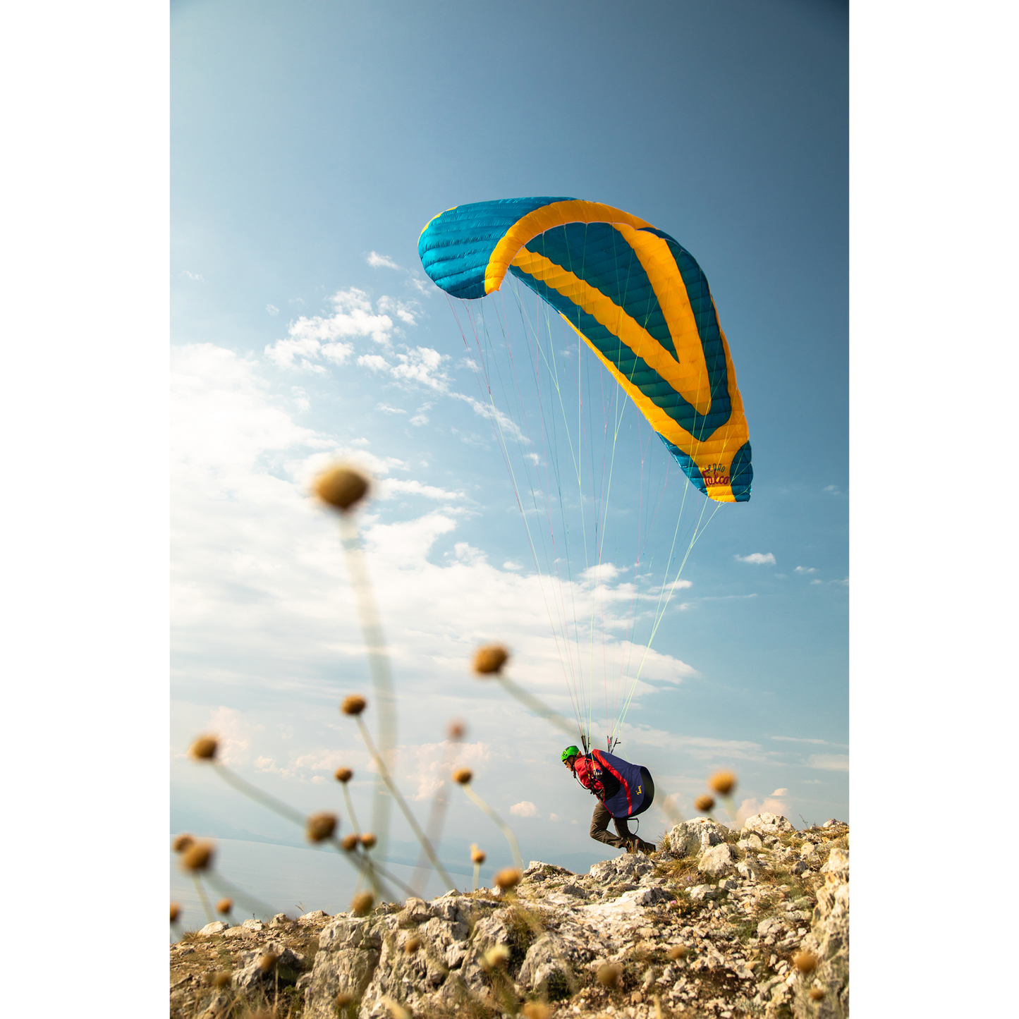 Falco Paraglider