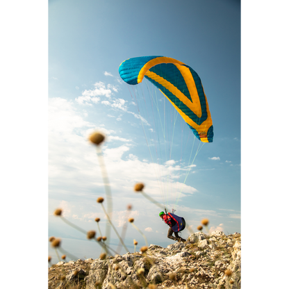 Falco Paraglider