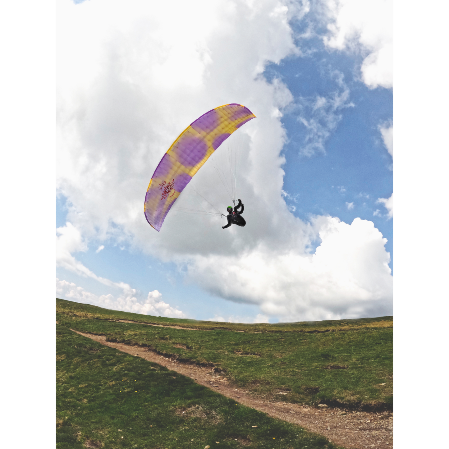 Pandion² Paraglider