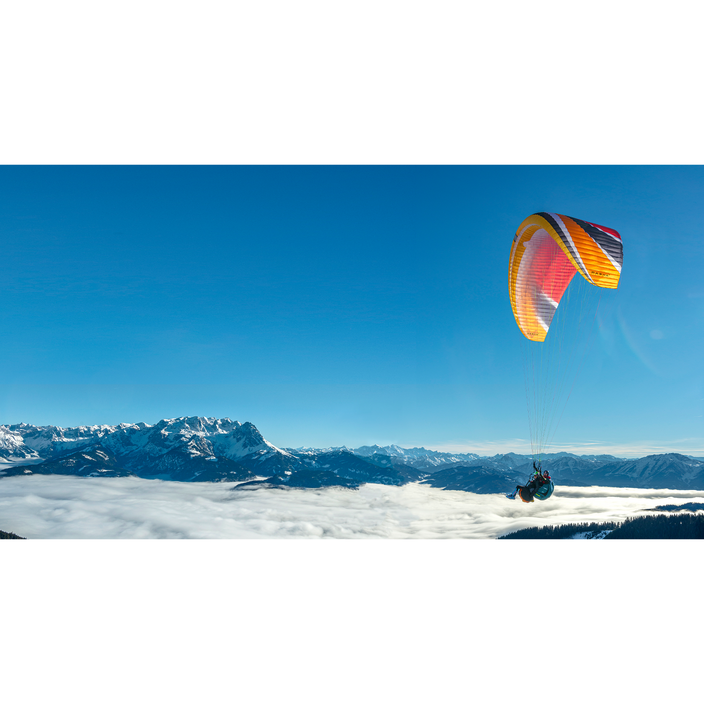 Pasha 7 Paraglider